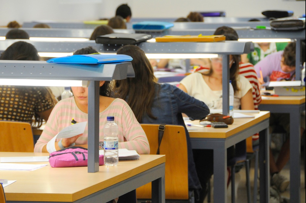 Estudios de grado